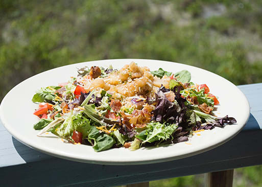 Coconut Joe's Beach Grill
