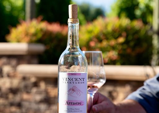 Vincent Vineyards