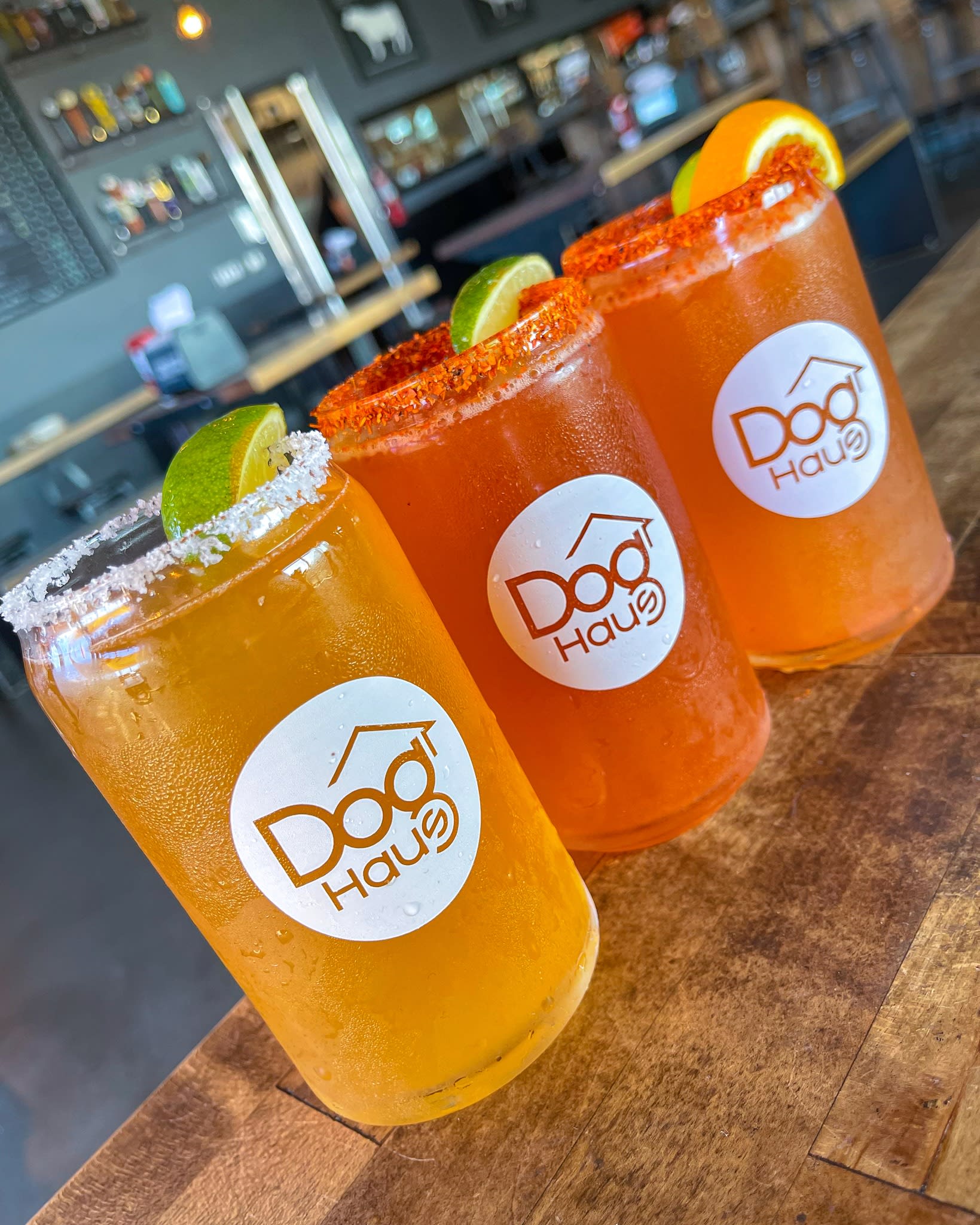 Dog Haus - Vista