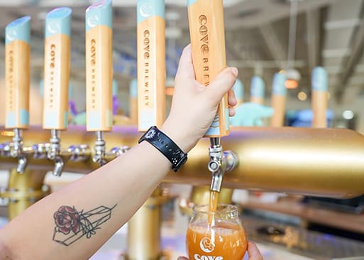 The Cove Brewery