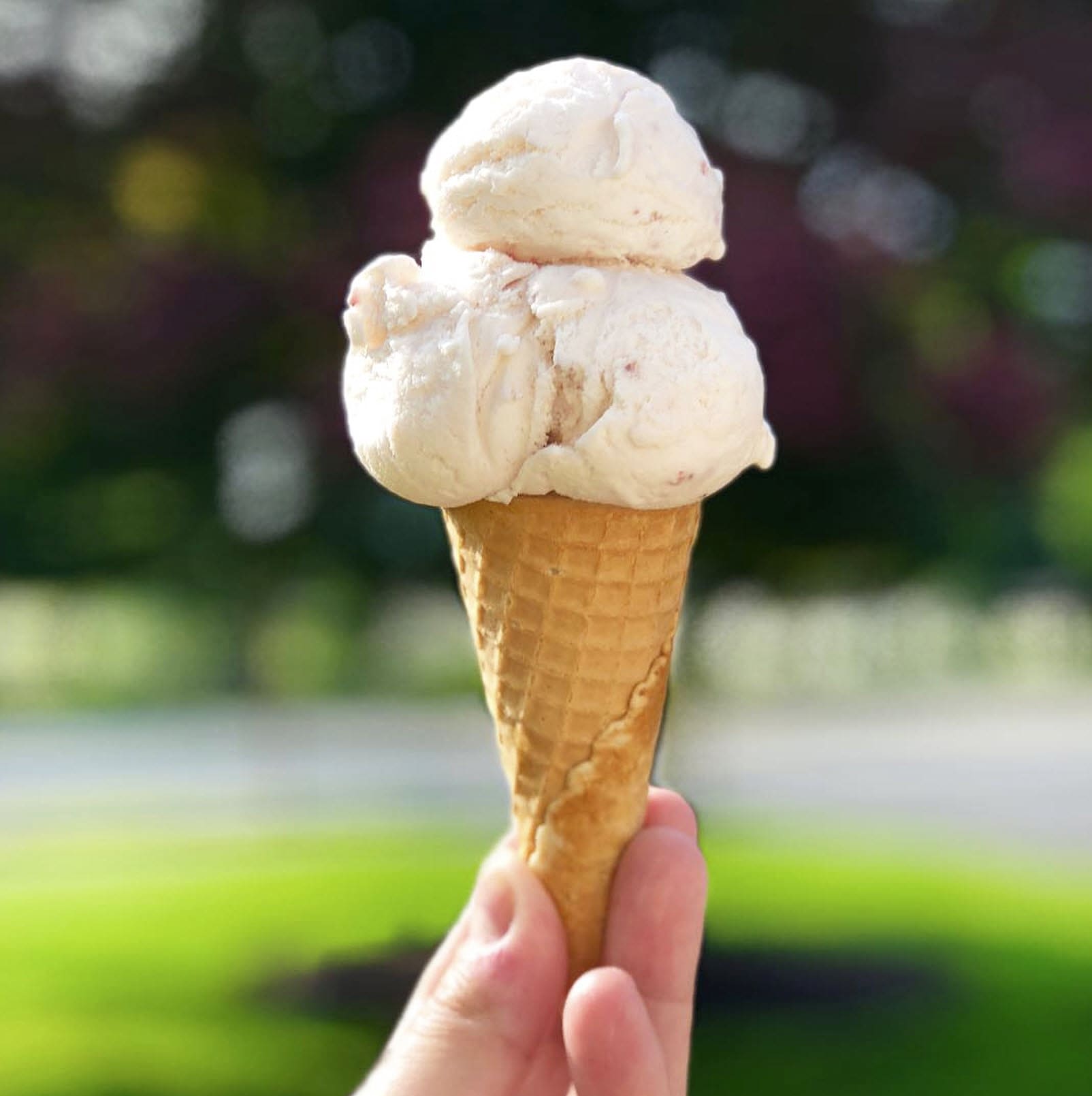 Ice Cream Club North Palm Beach