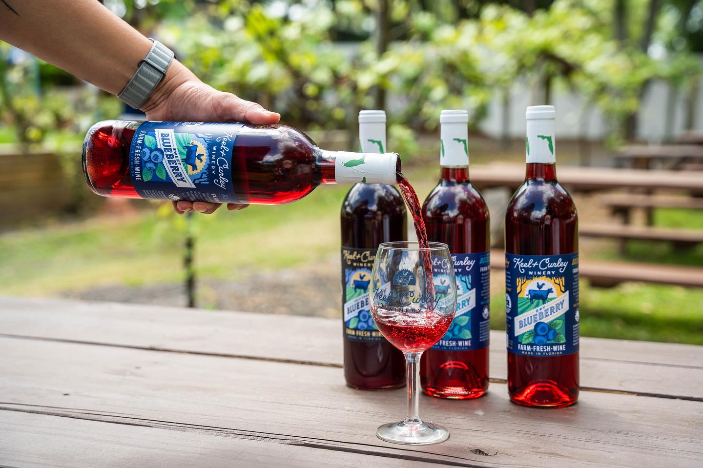 Photo 1 of 4: Keel & Curley Winery