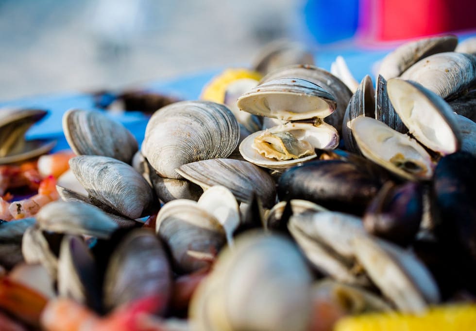 Shuckin' Shack Oyster Bar-Naperville