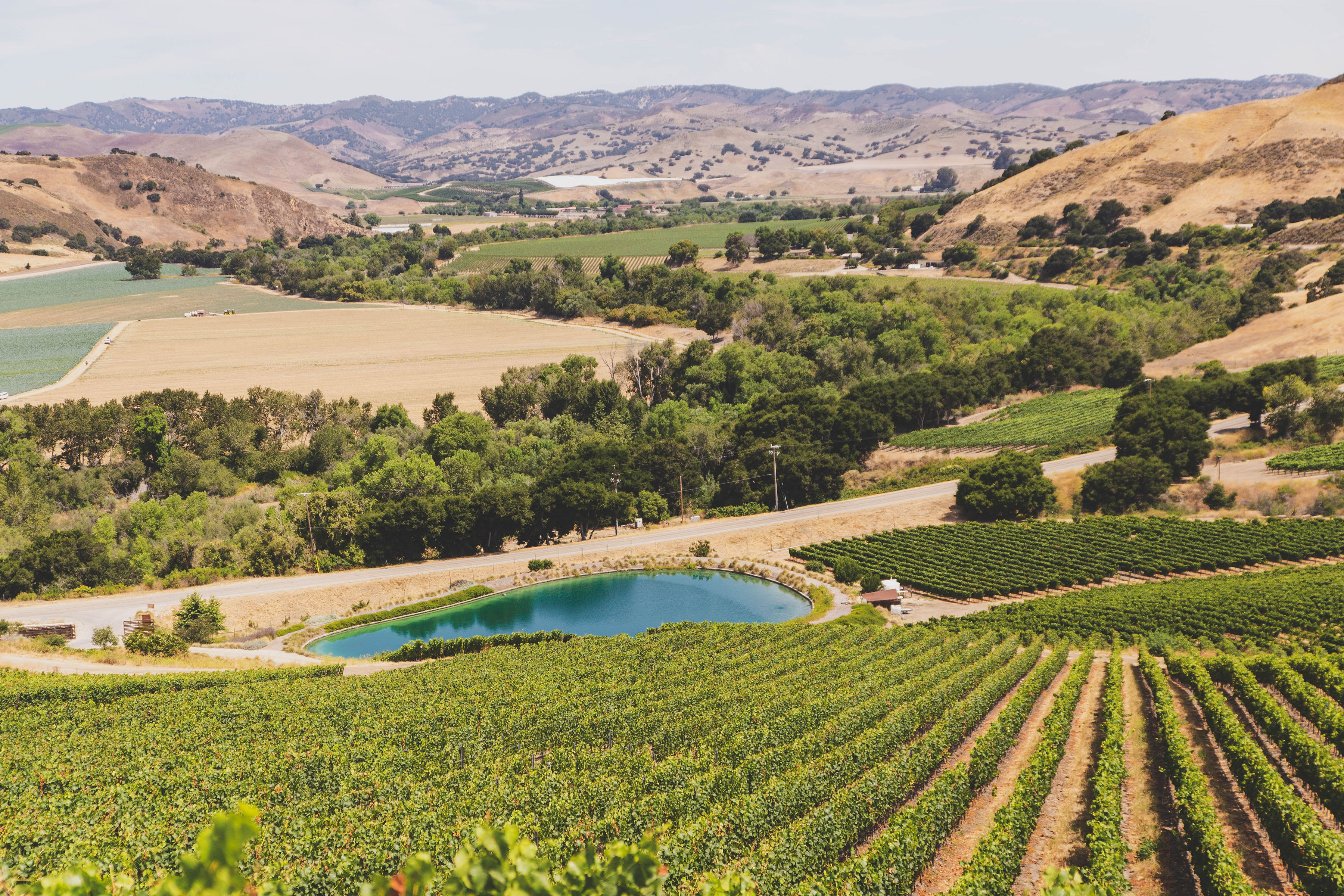 Peake Ranch Winery Tasting Room