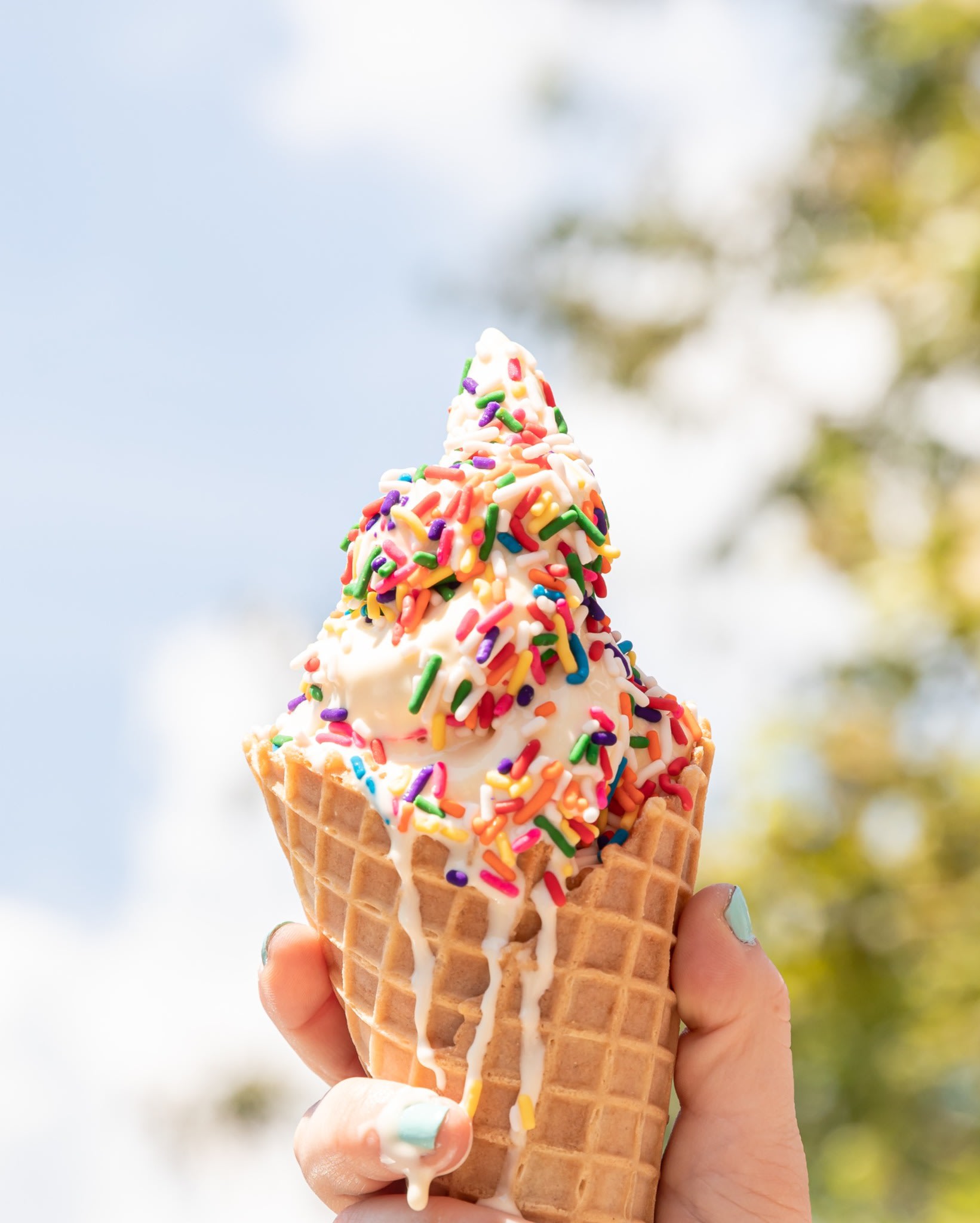 16 Handles