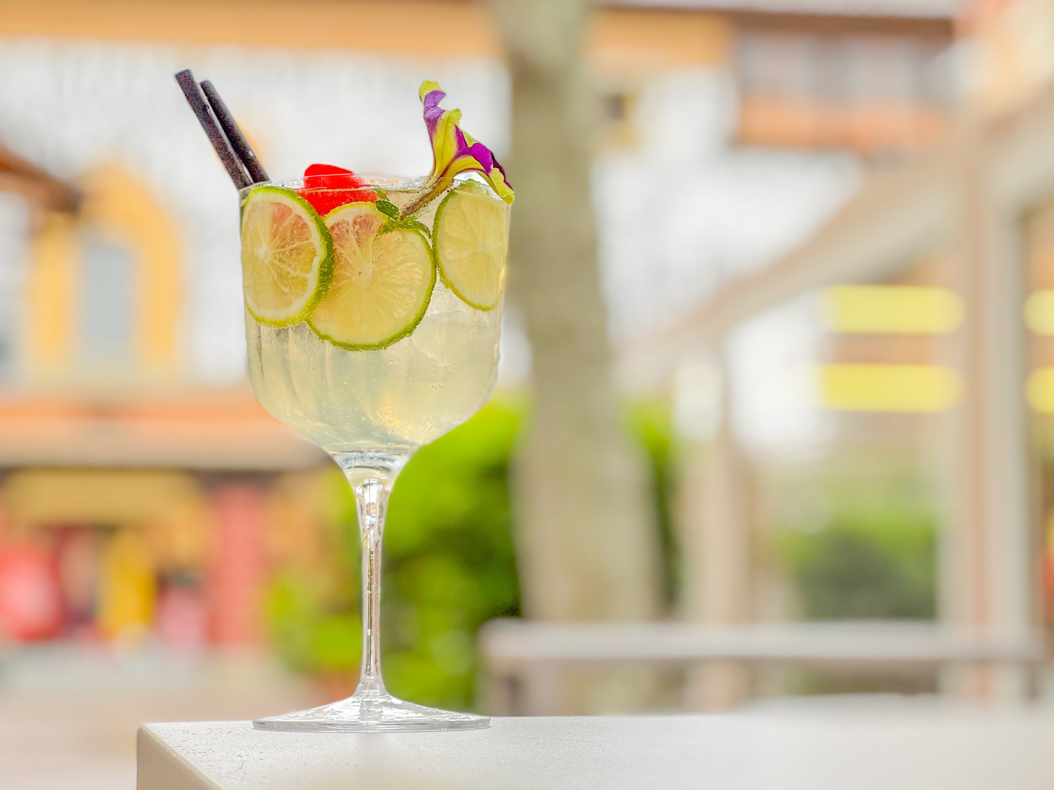Bollicine & Co Champagne Bar
