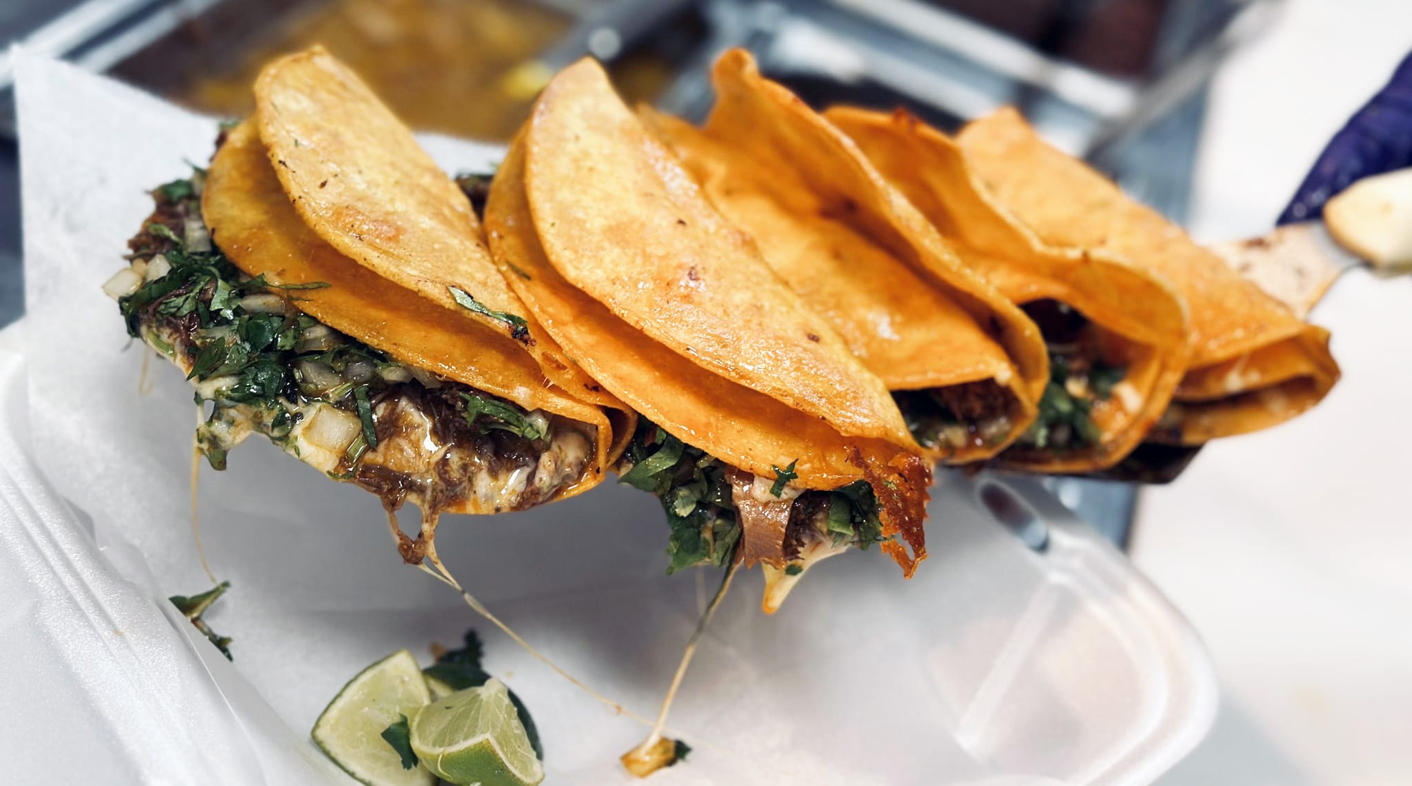 Taqueria, The
