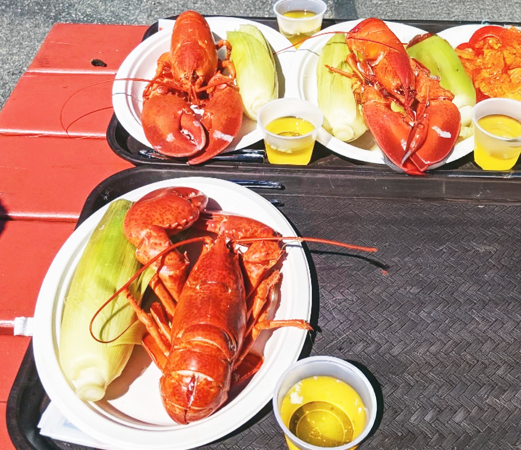 Lobster in the Rough