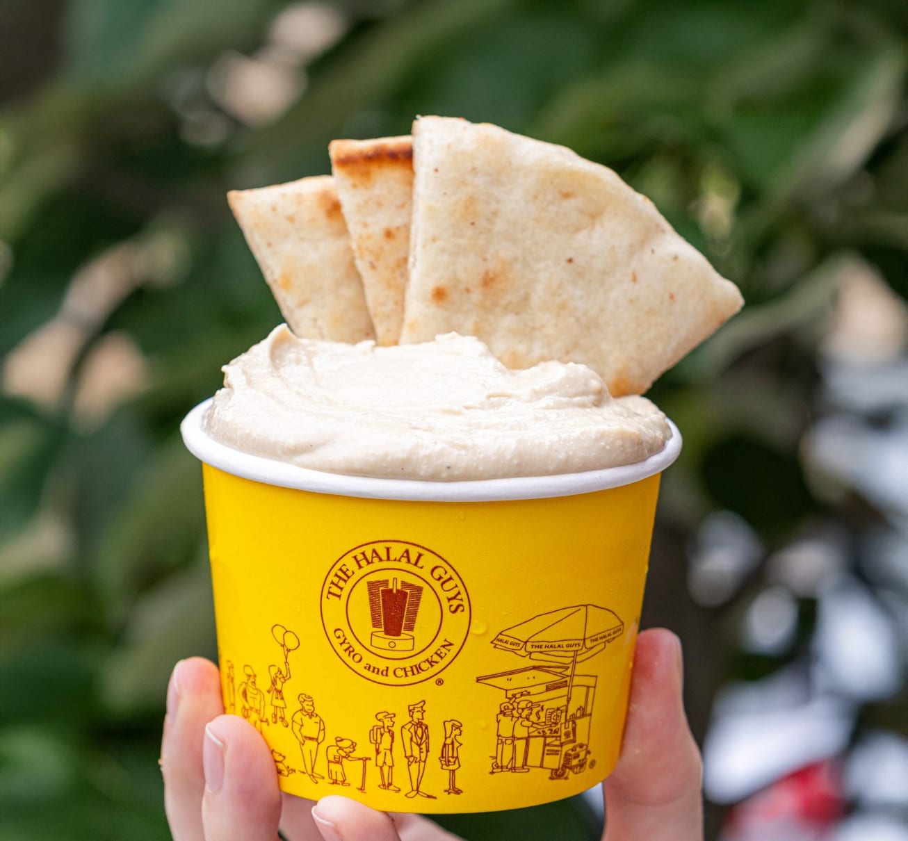 The Halal Guys - Willow Grove