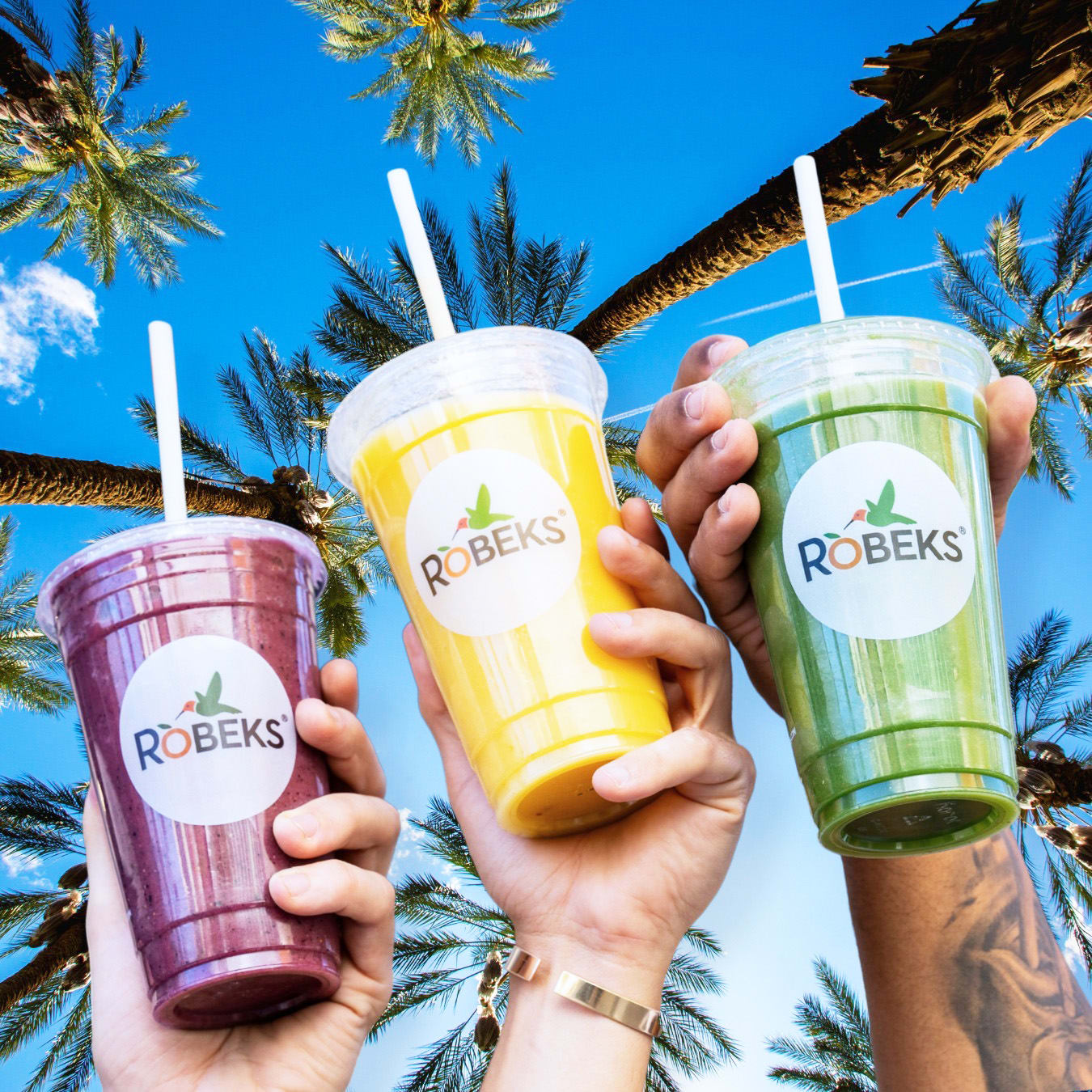 Robeks juice smoothie and fresh juices