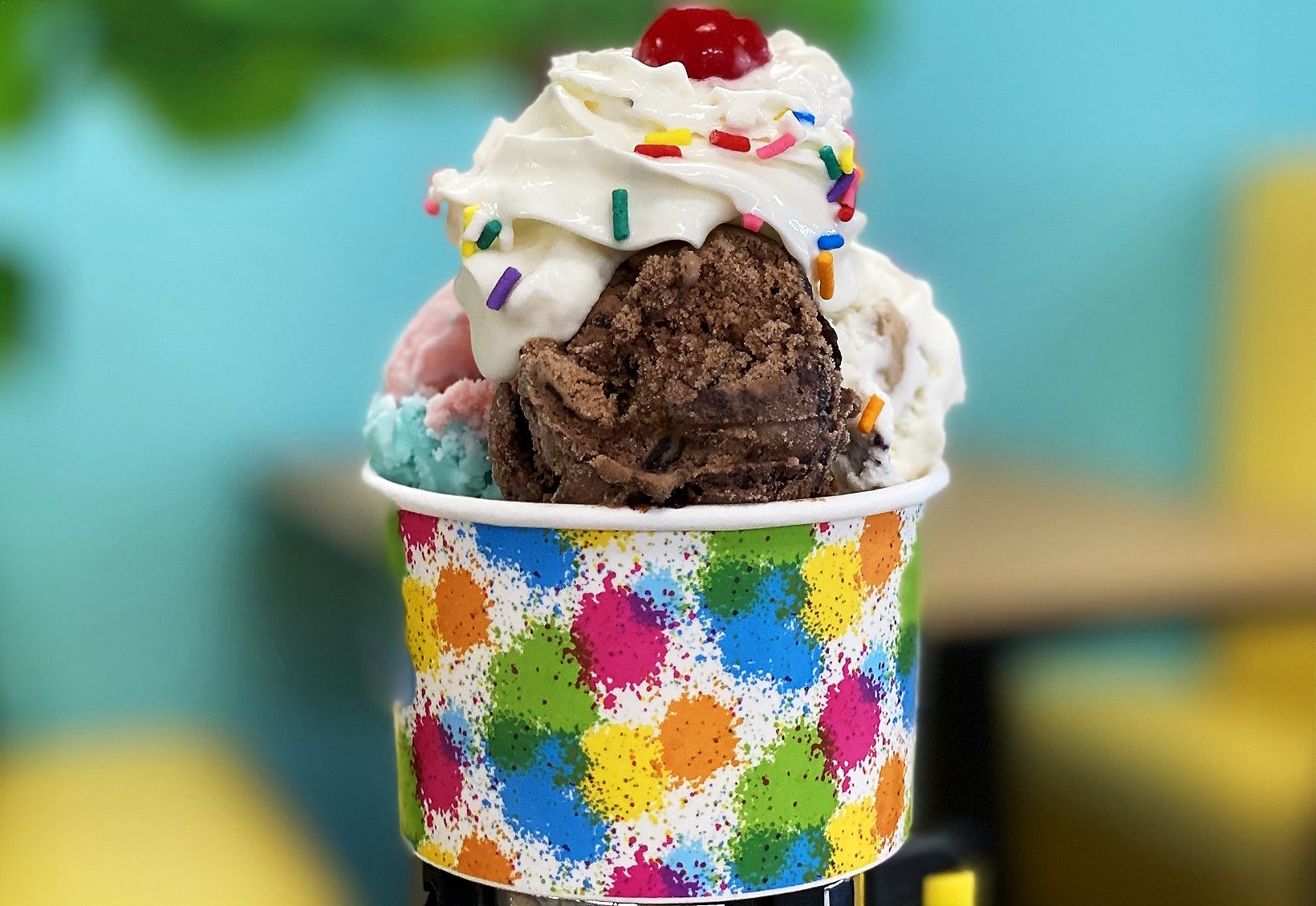 The Scoop