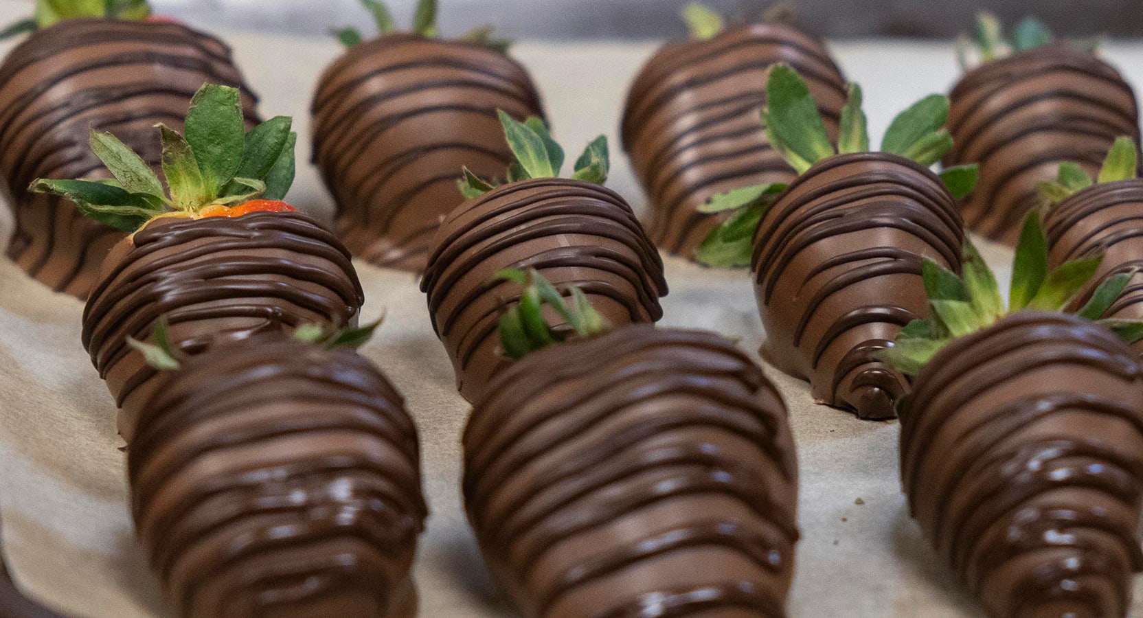Rocky Mountain Chocolate Factory