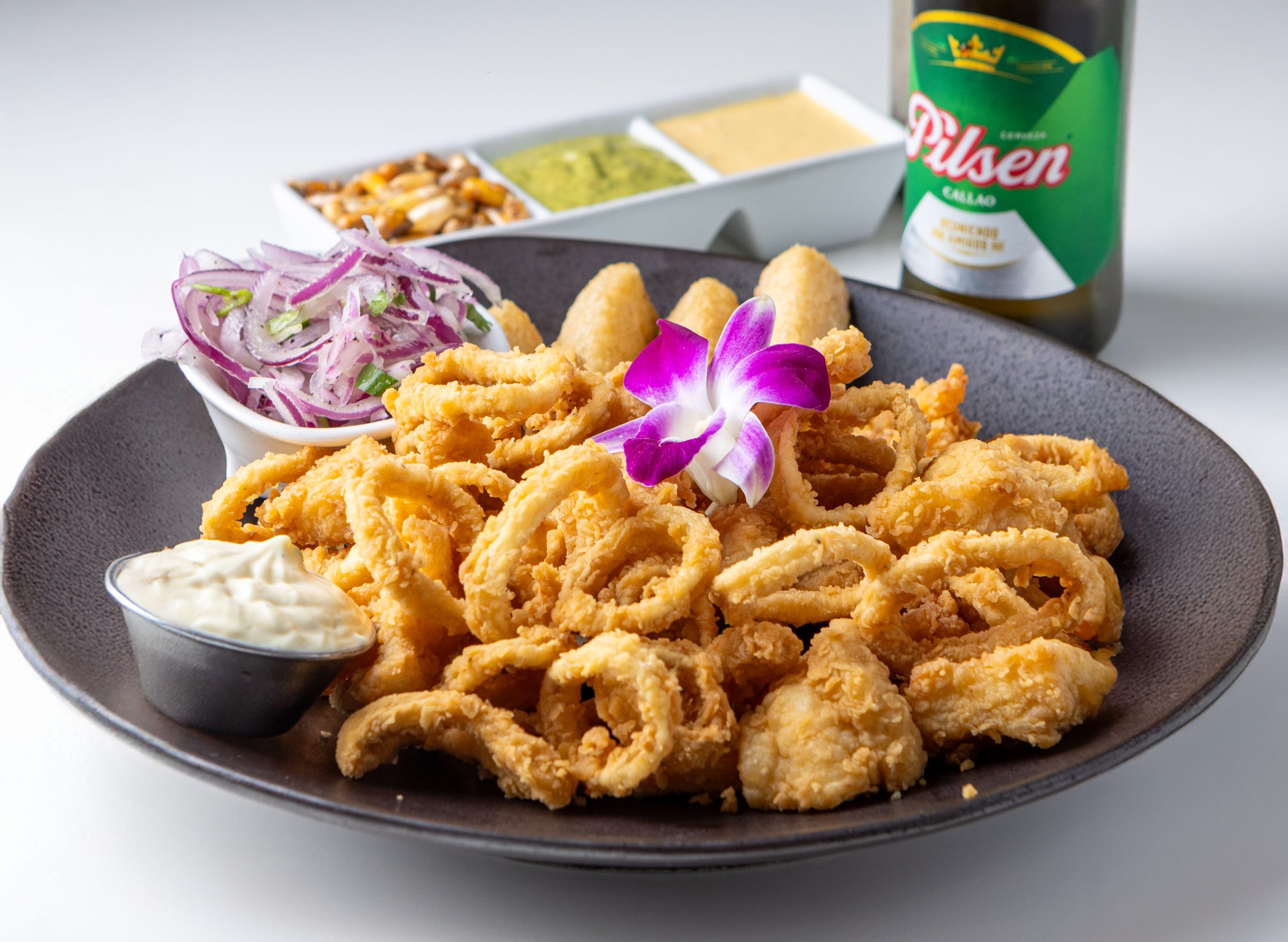 Sr. Ceviche
