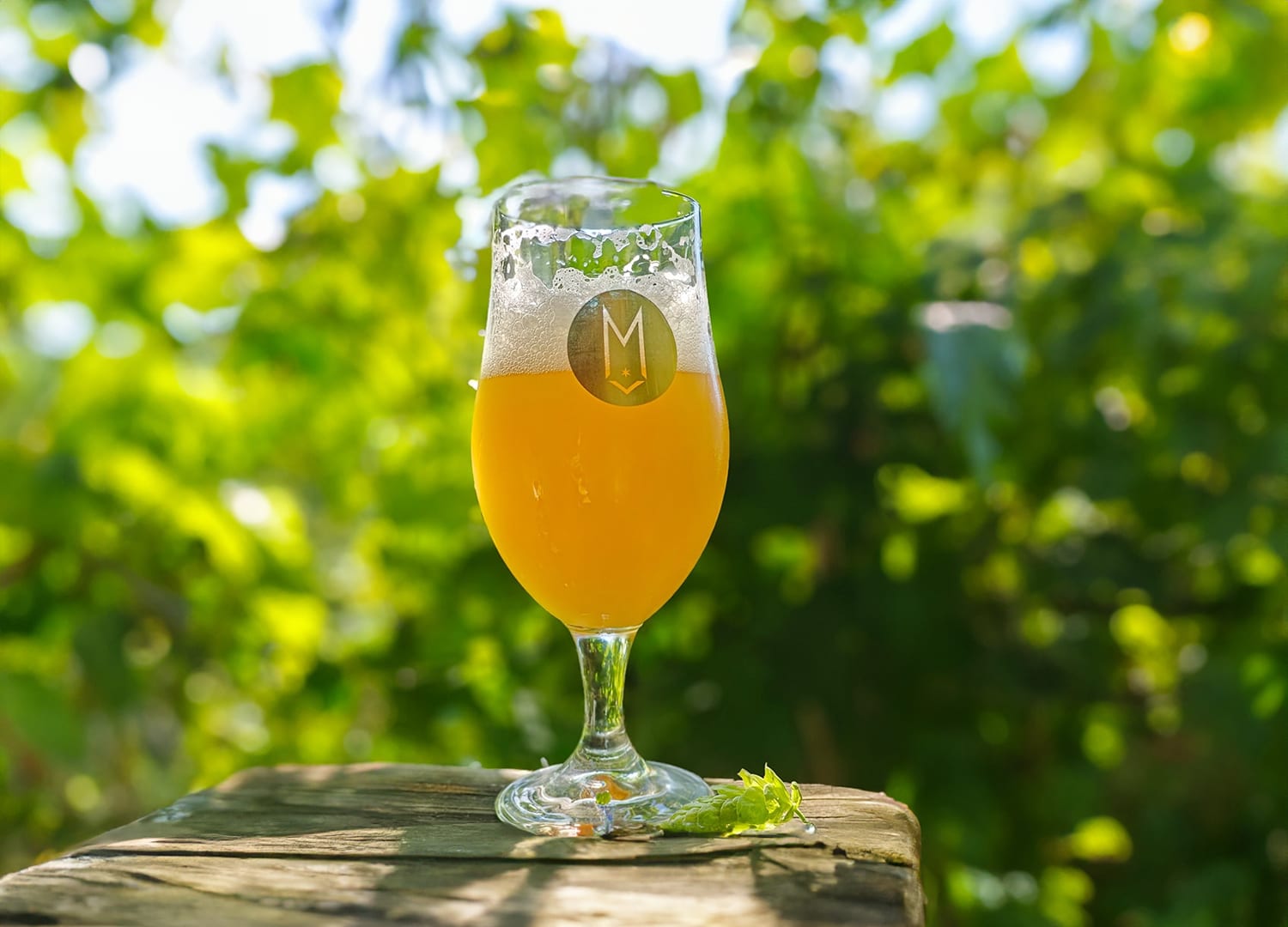Draft & Vessel - Shorewood