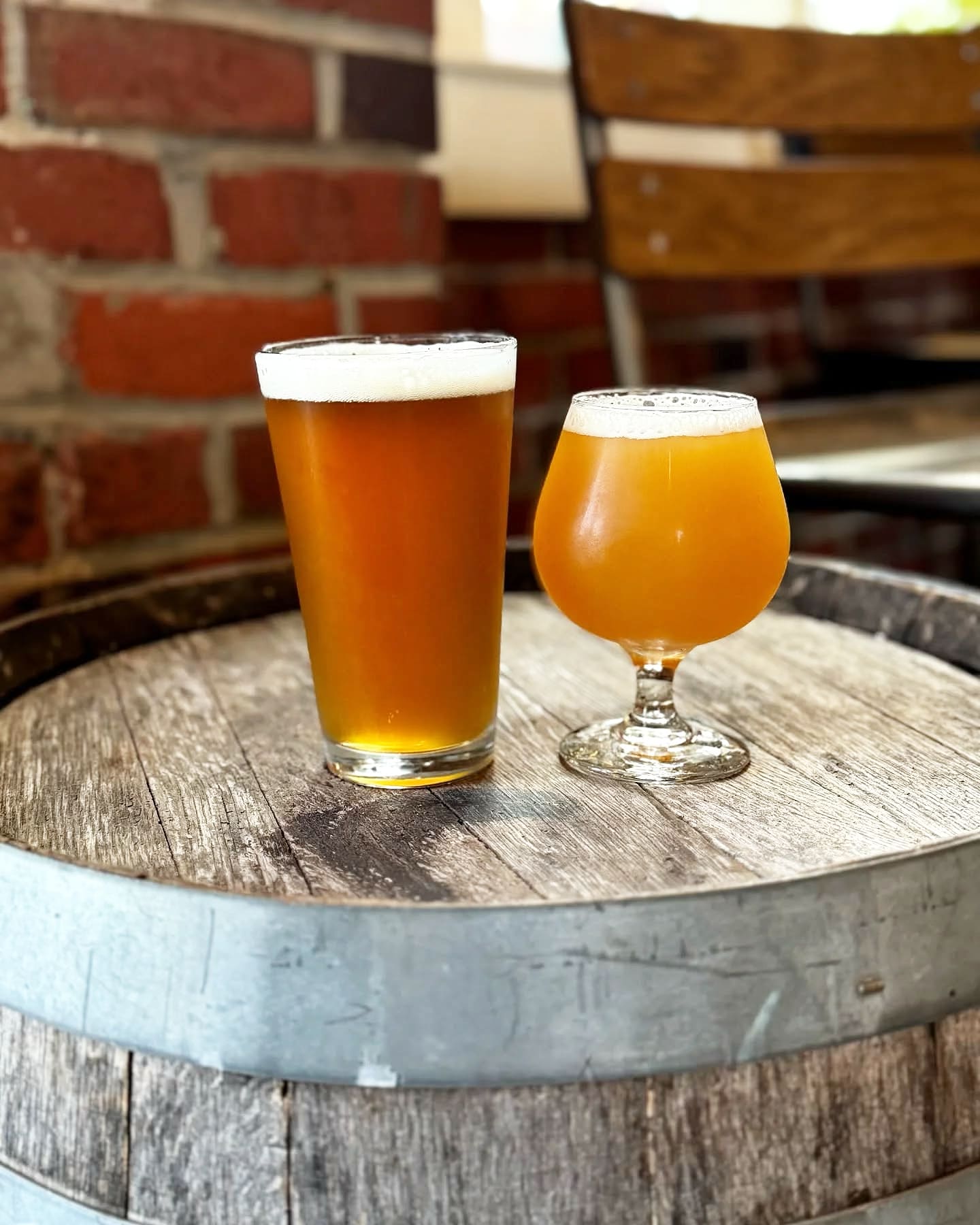 Photo 1 of 4: Terrestrial Brewing Compnay