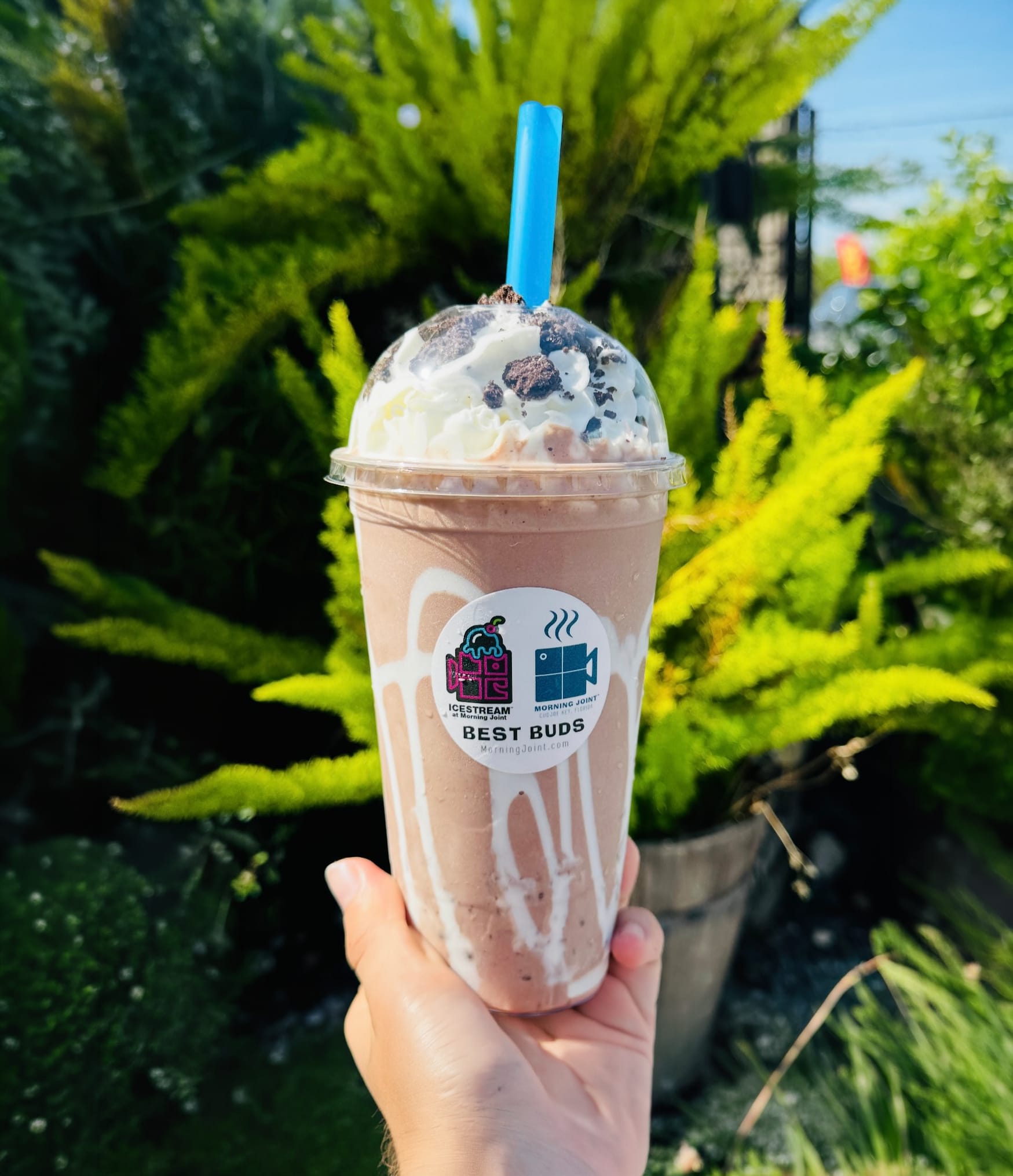 Icestream at Morning Joint