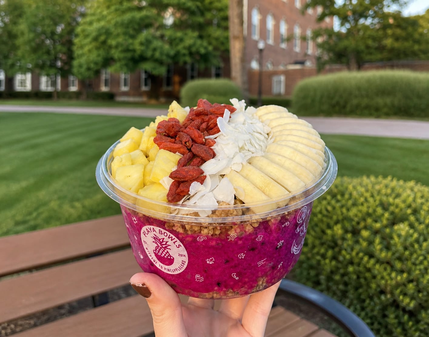 Playa Bowls