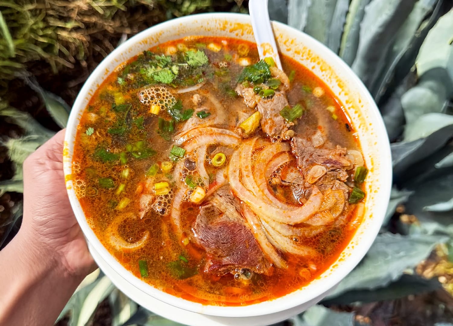 Pho Star Bowl