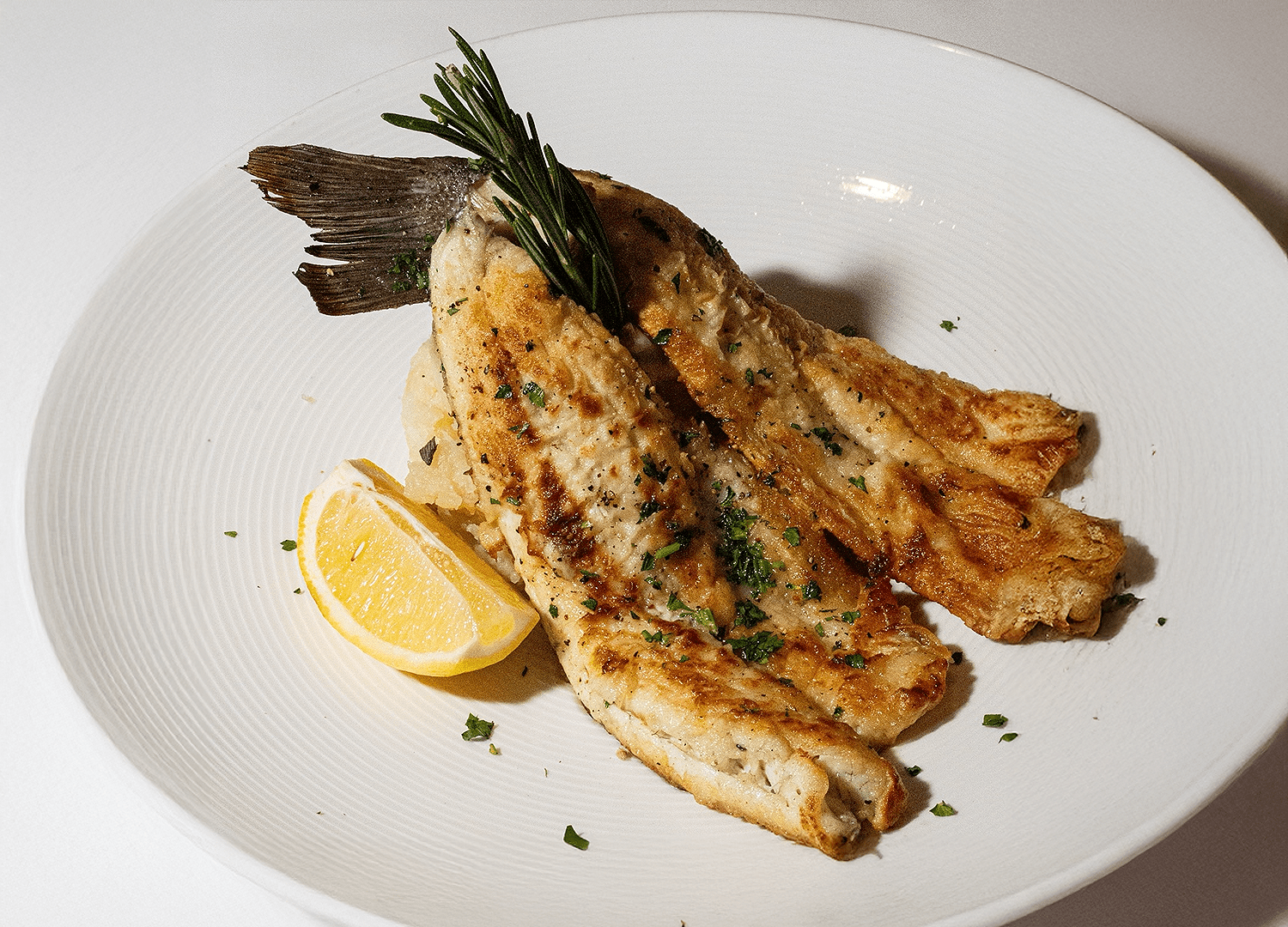 Descorche Restaurant & Wine Bar