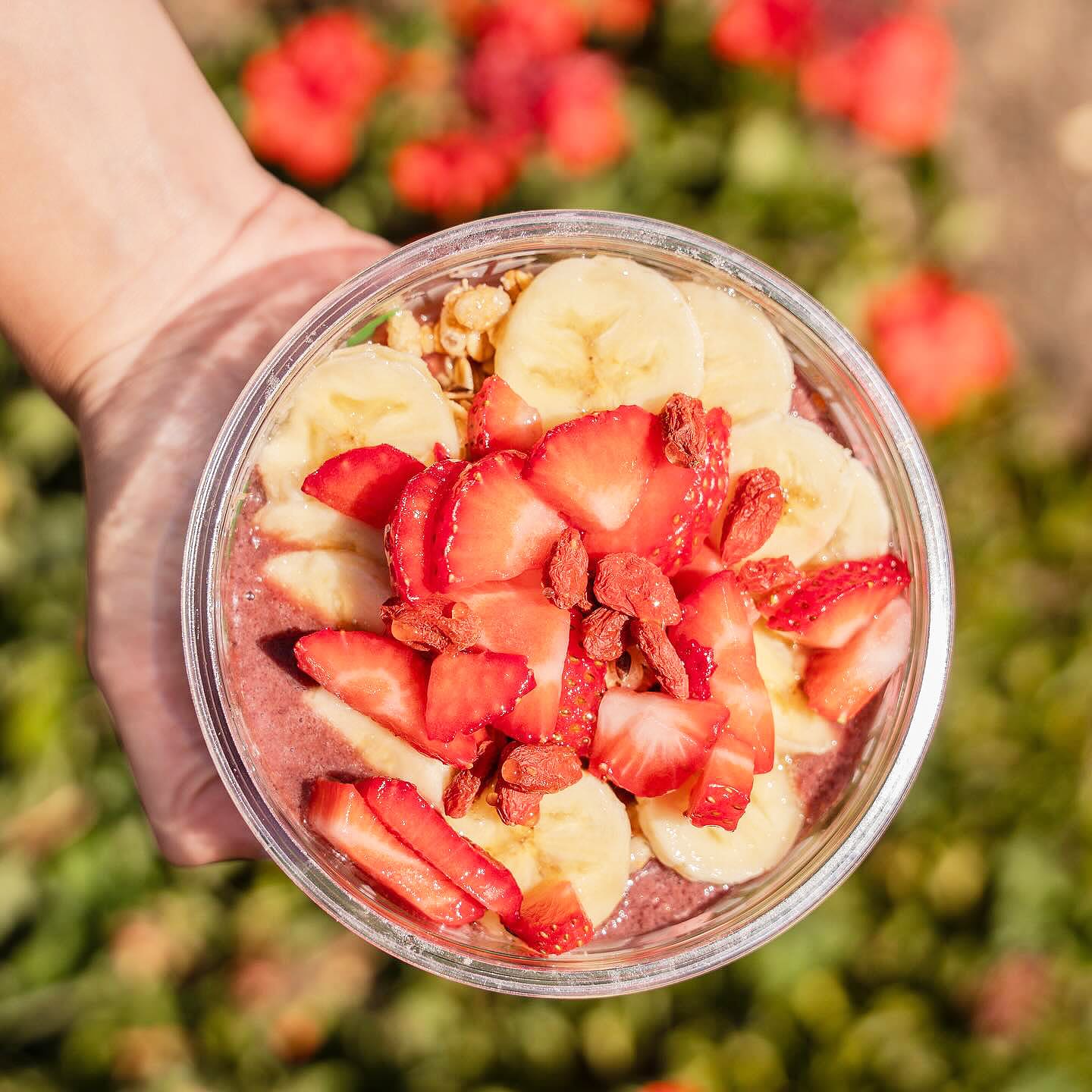 Vitality Bowls