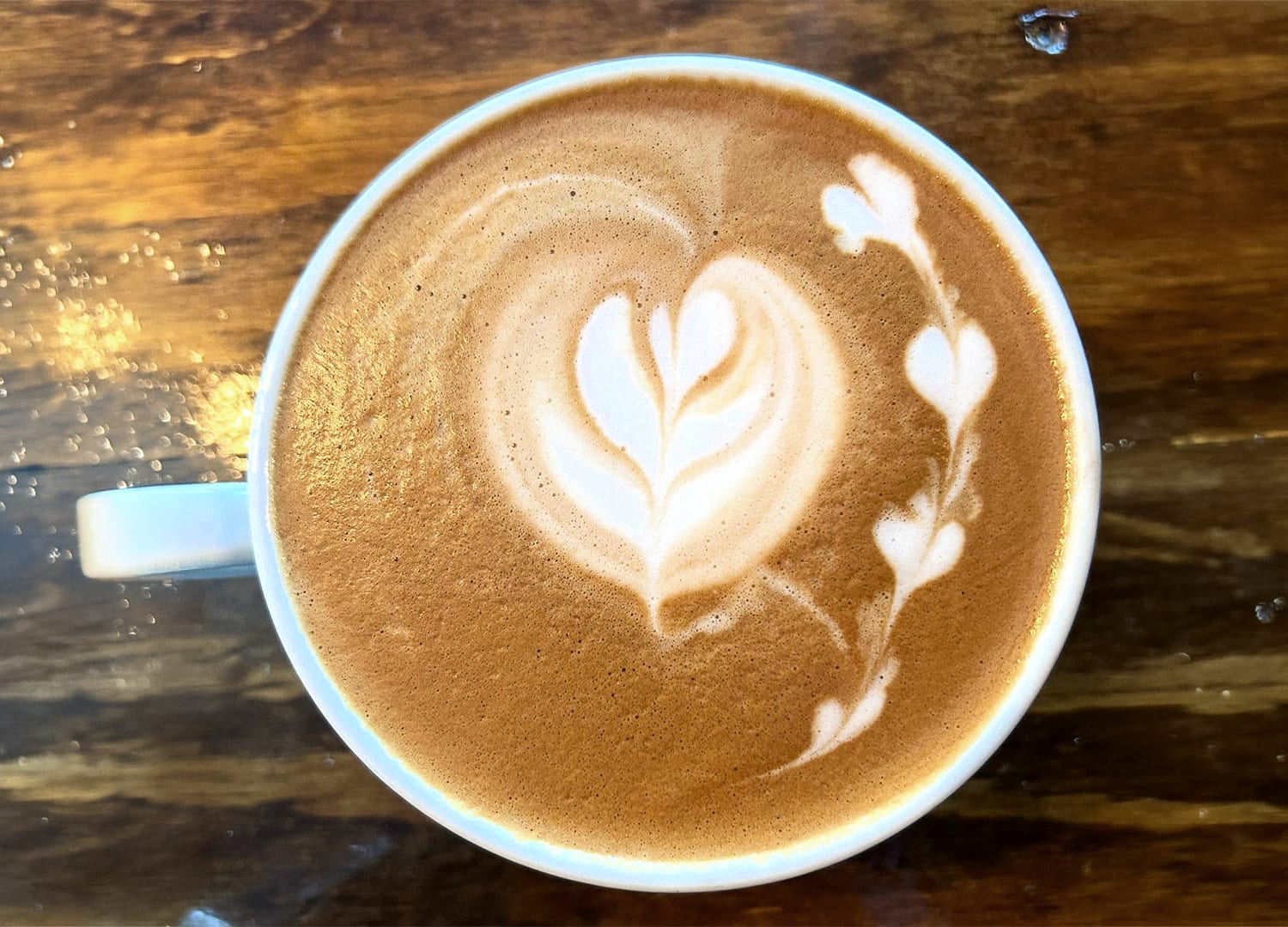 Grind ‘N’ Gears Cafe