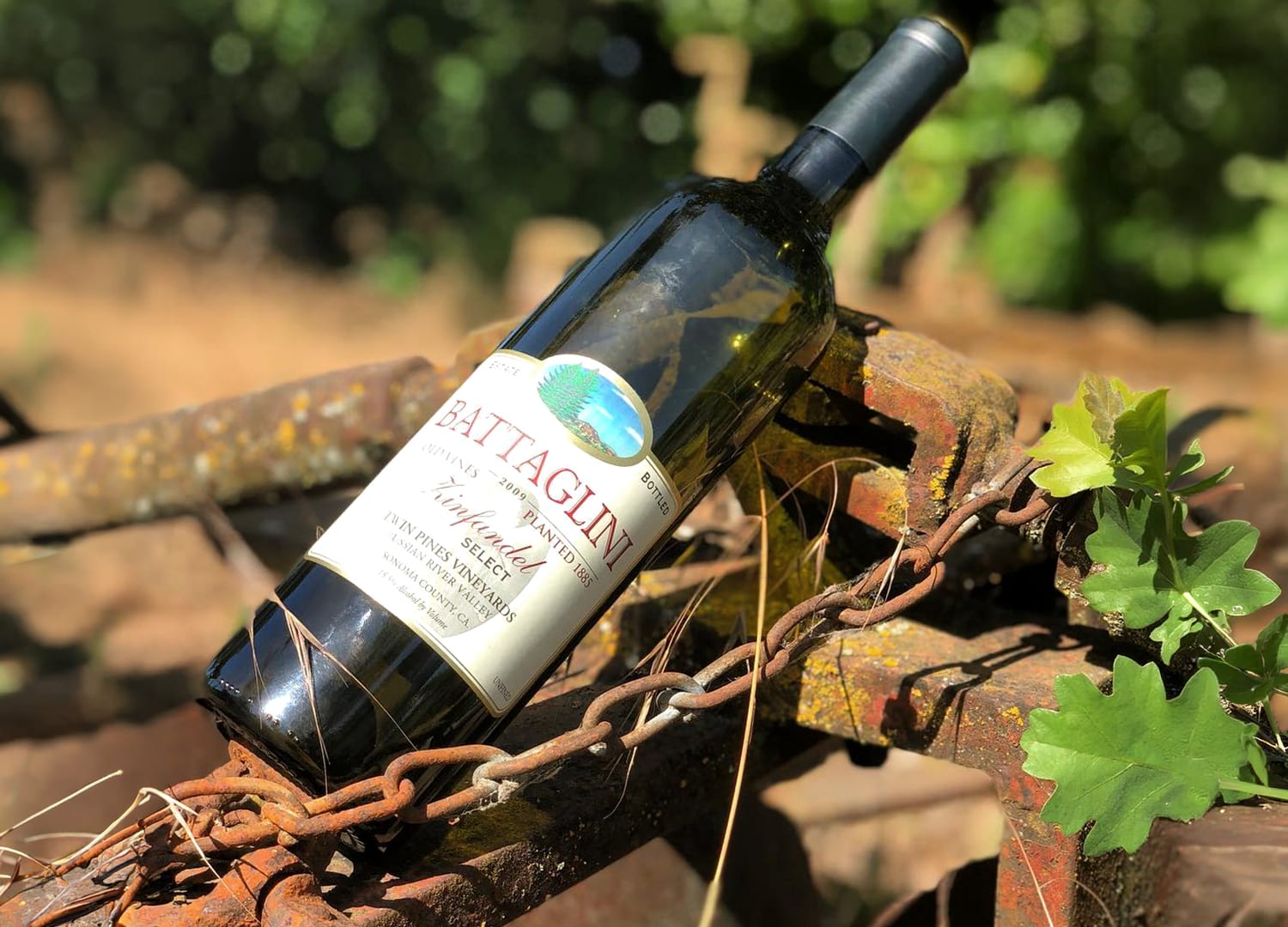 Battaglini Winery