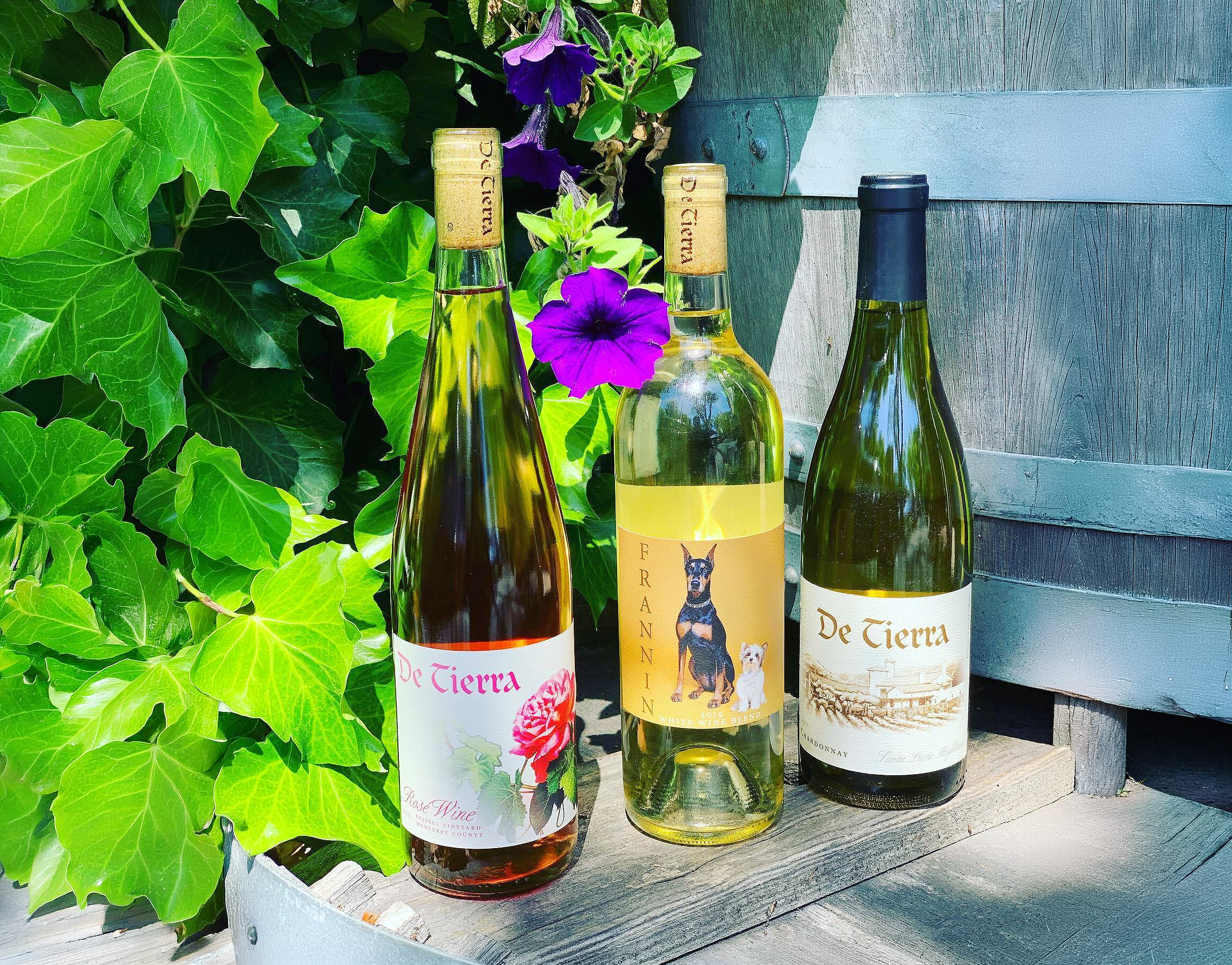 De Tierra Vineyards