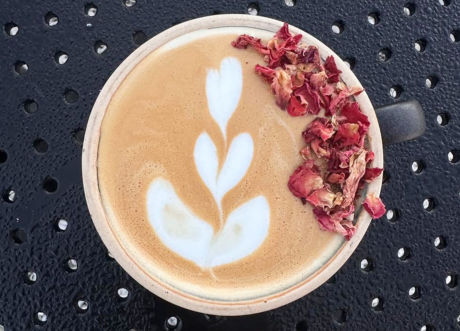 Photo 1 of 4: Sip & Surf Coffee