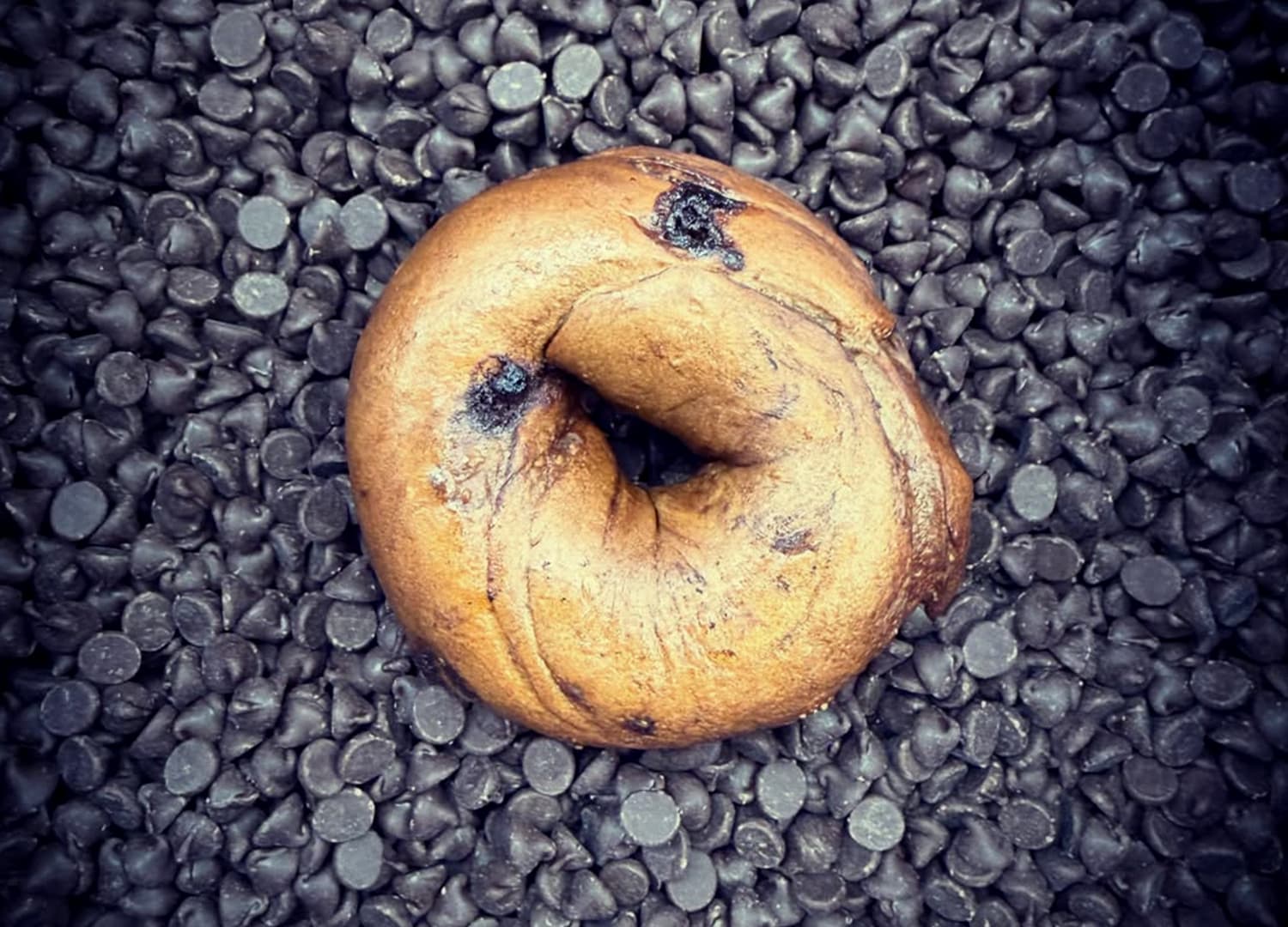 Baygull's Bakery