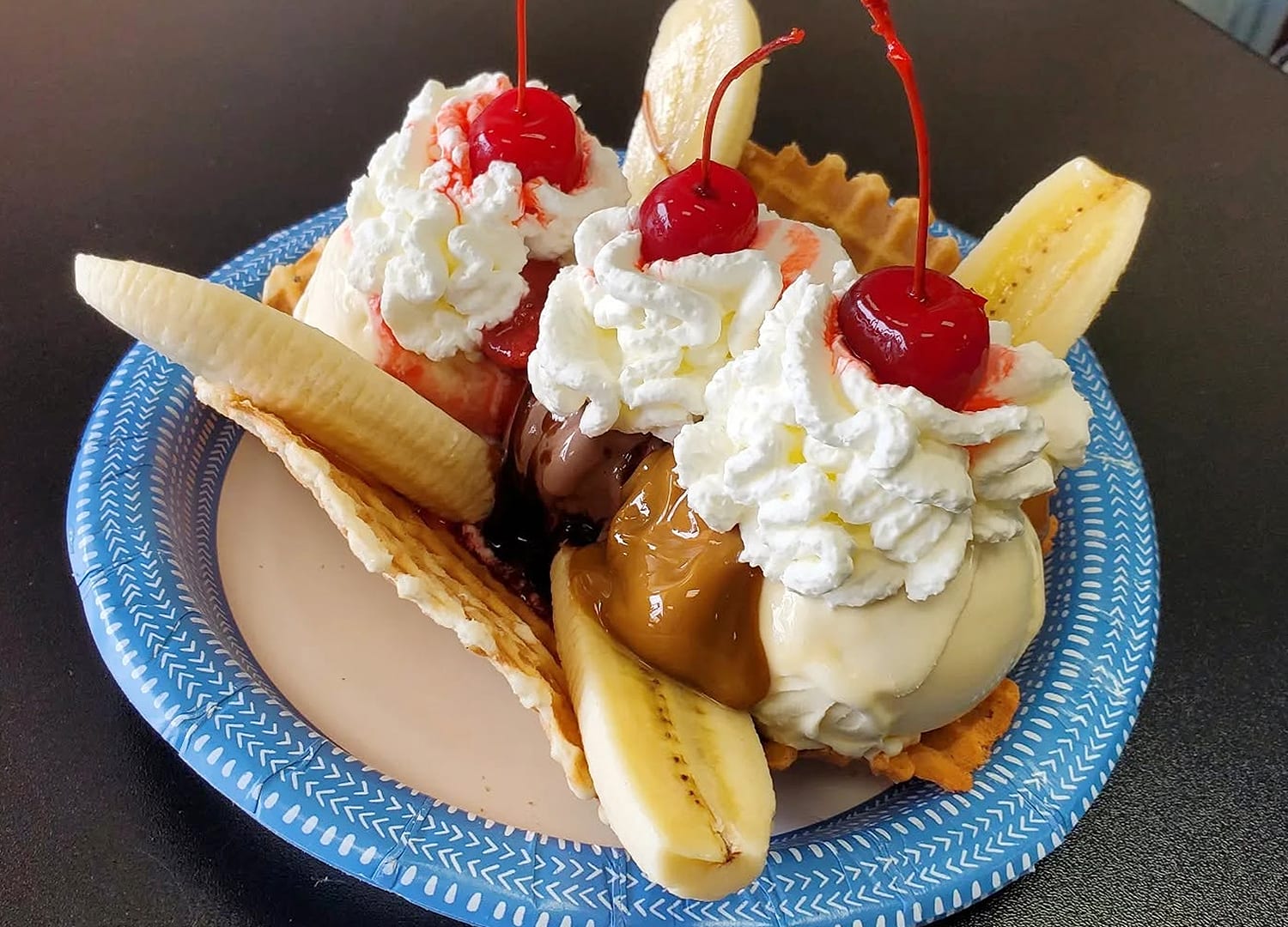 Twisted Turtle Creamery