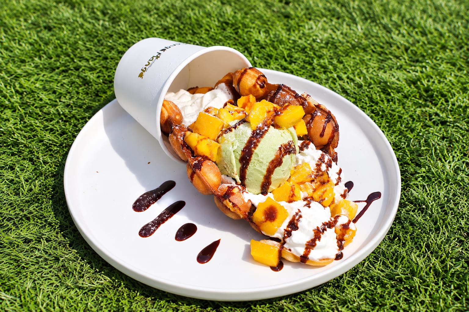Mango Mango Dessert