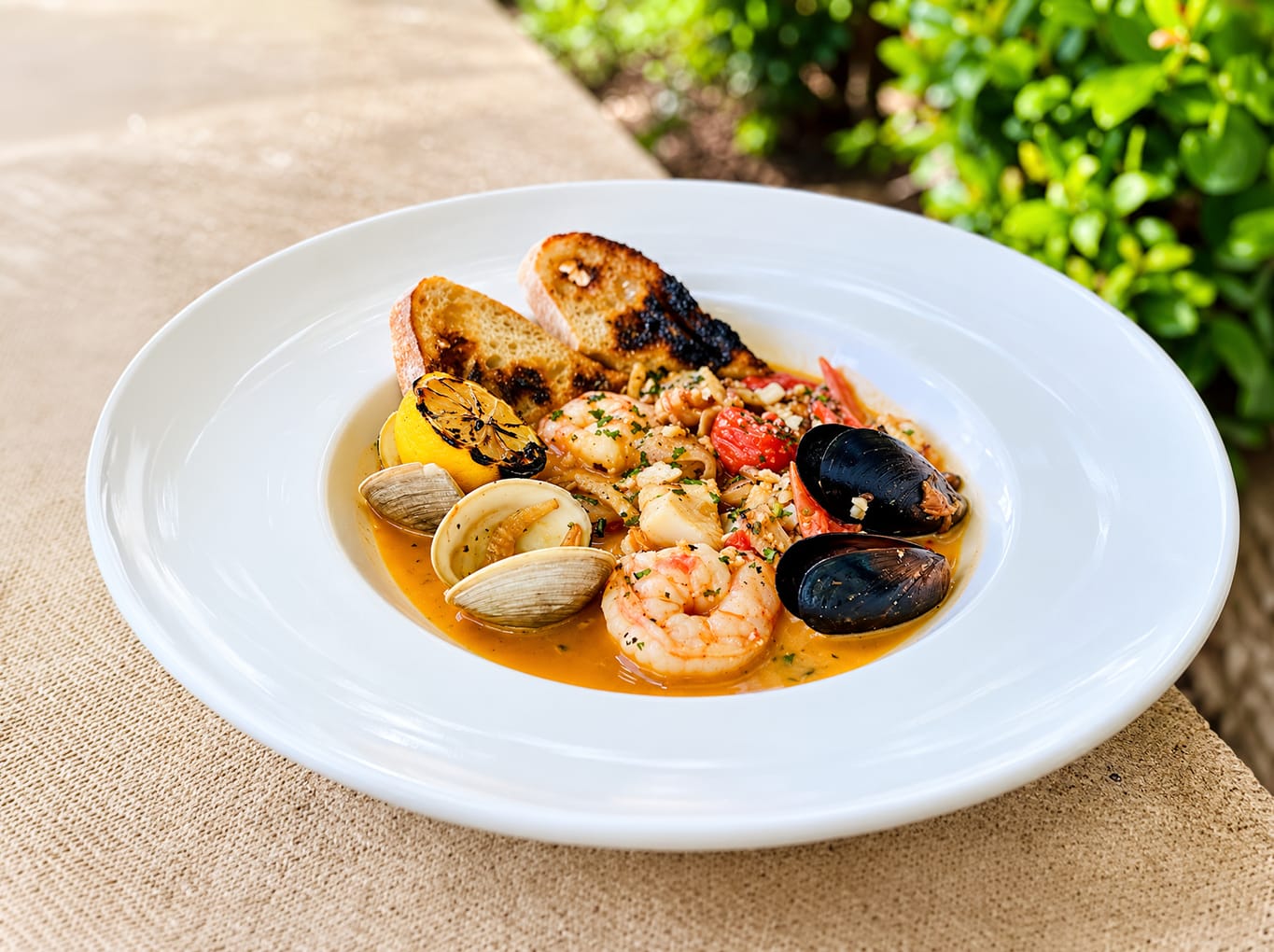 Stella Modern Italian Cuisine