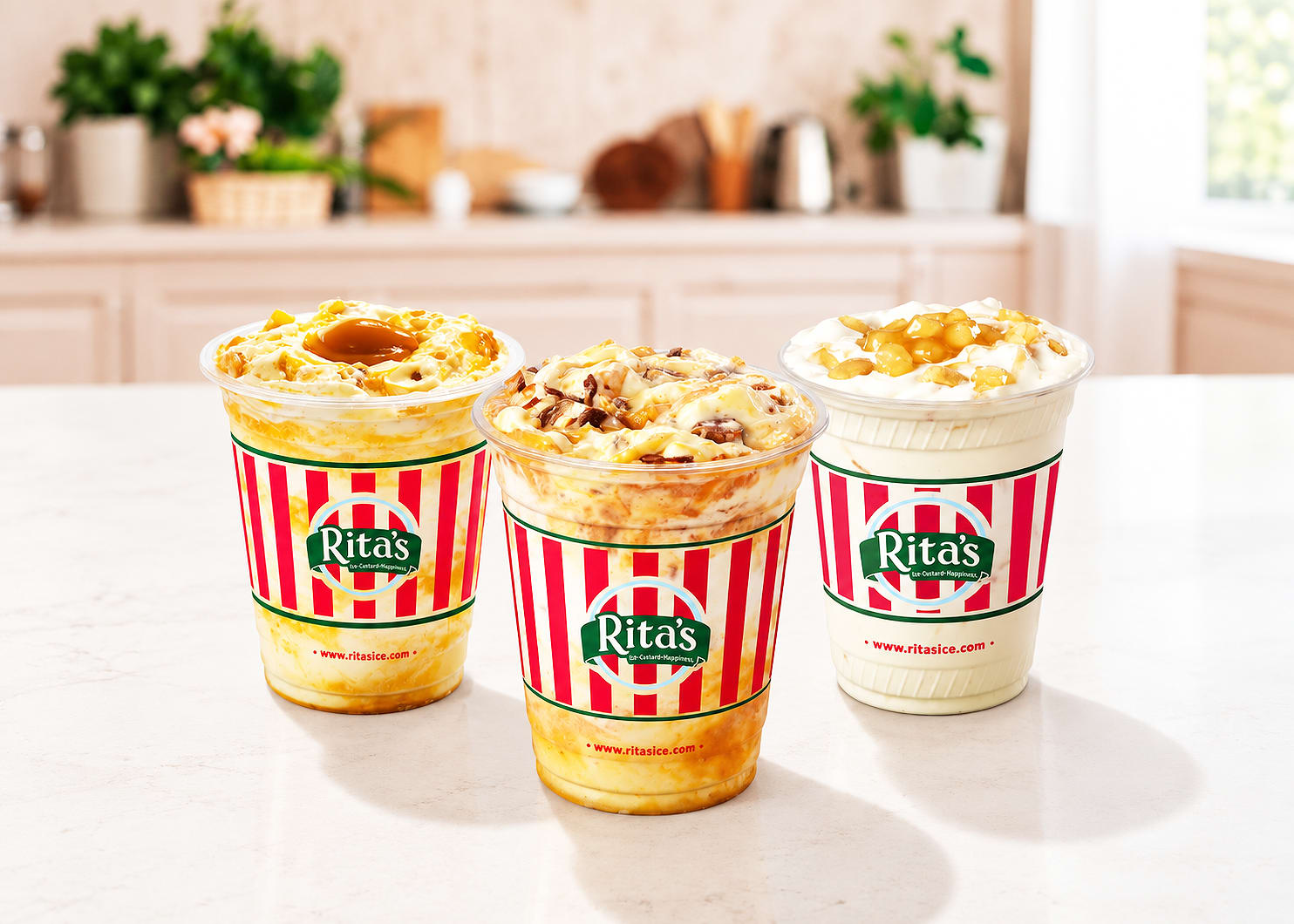 Rita's Italian Ice - Fishhawk