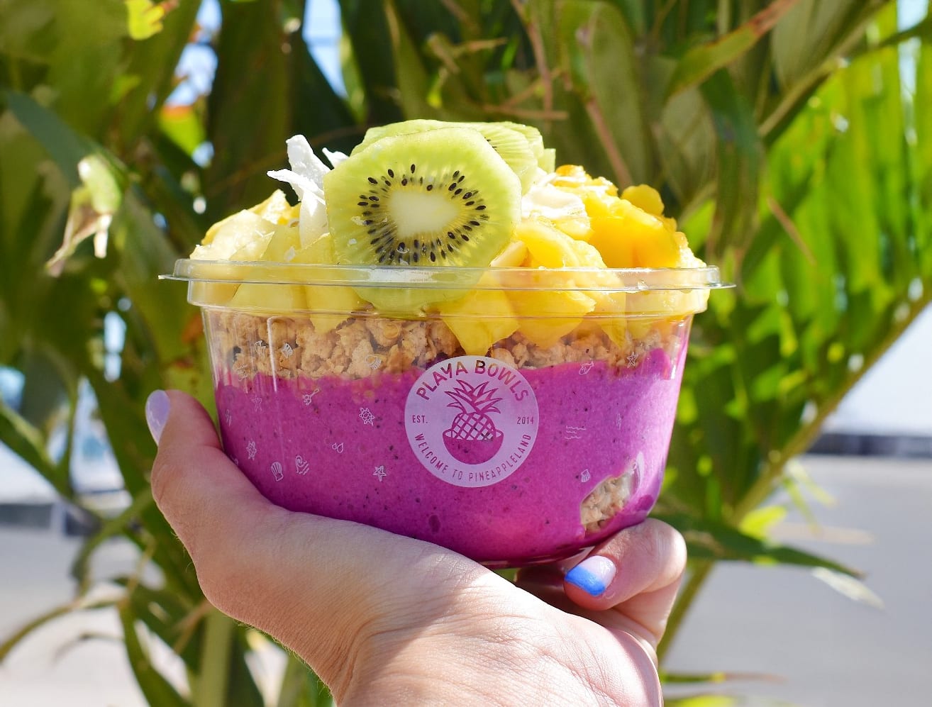 Playa Bowls- Columbia