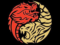 Dragontigernoodle offer