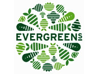 Evergreens