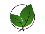 Basil Cafe
