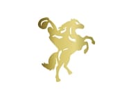 Sabor Gaucho Prime Brazilian Steakhouse