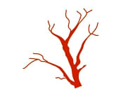 Uproot