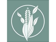 Maize Cocina & Cocktails