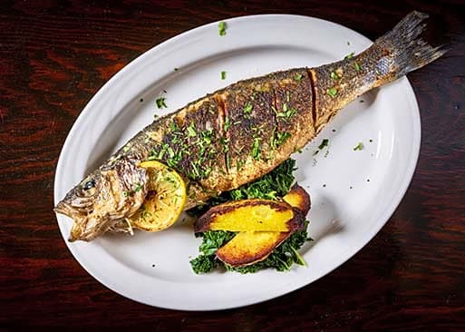 Symposium Greek Taverna